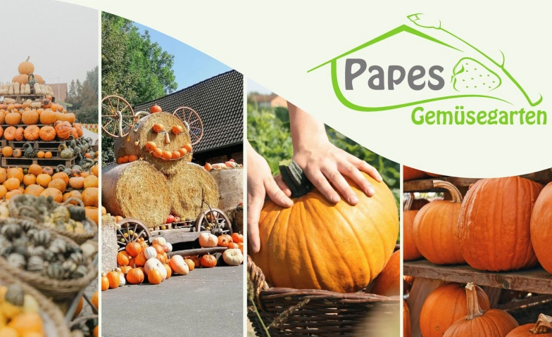 Event-Image for 'Kürbisfest bei Papes Gemüsegarten'