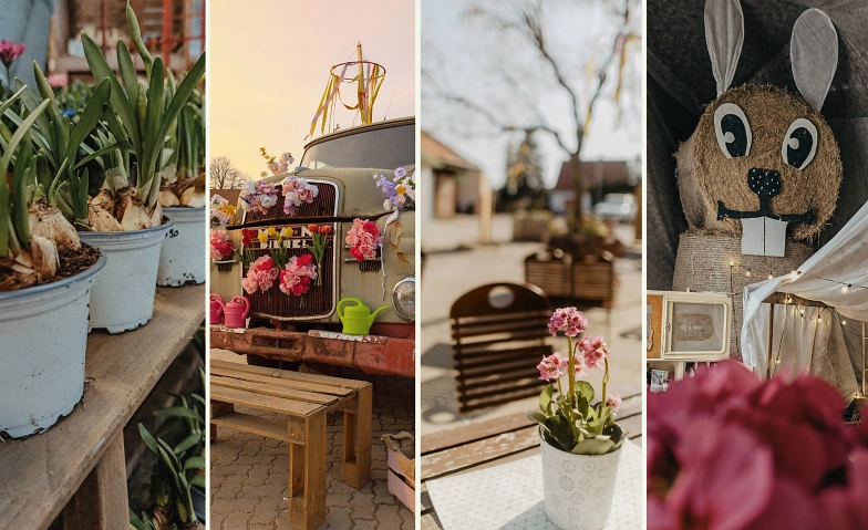 Event-Image for 'Fr&uuml;hlingsscheune bei Papes Gem&uuml;segarten'