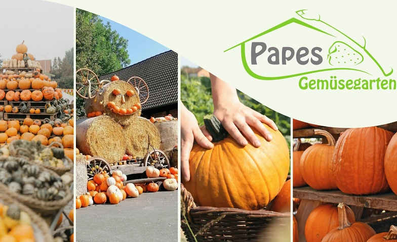 Event-Image for 'Kürbisscheune bei Papes Gemüsegarten'