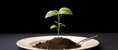 Event-Image for 'Soil to Soul Symposium'