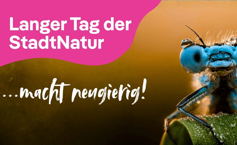 Event-Image for 'Langer Tag der StadtNatur 2026'