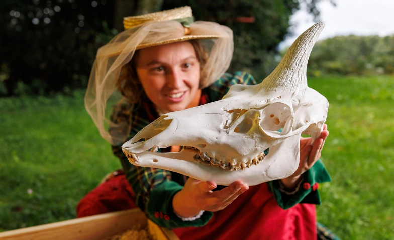 Event-Image for 'Kindertheater: «Louisa Wilson und das gestreifte Einhorn»'