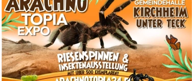 Event-Image for 'Arachnotopia - Riesenspinnen & Insektenausstellung Kirchheim'