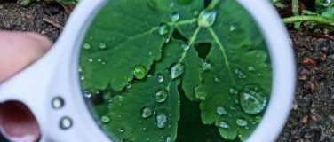 Event-Image for 'WinterCamp für kids ab 6 Jahren'