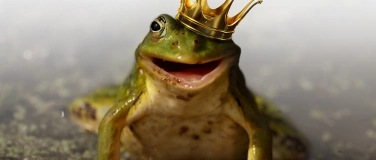 Event-Image for 'König Frosch'