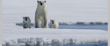 Event-Image for 'K&ouml;nigreich Arktis'