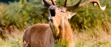 Event-Image for 'Ferienspecial im Naturmuseum'