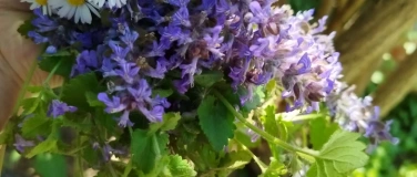 Event-Image for 'Kr&auml;uterwanderung Region Bremgarten mit der Natur im Einklag'