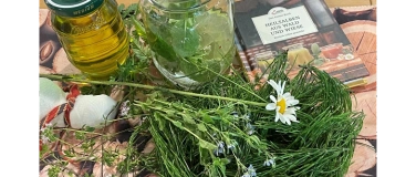 Event-Image for 'Workshop: Frauen und ihre Kräuter – Entdecke die grüne Kraft'