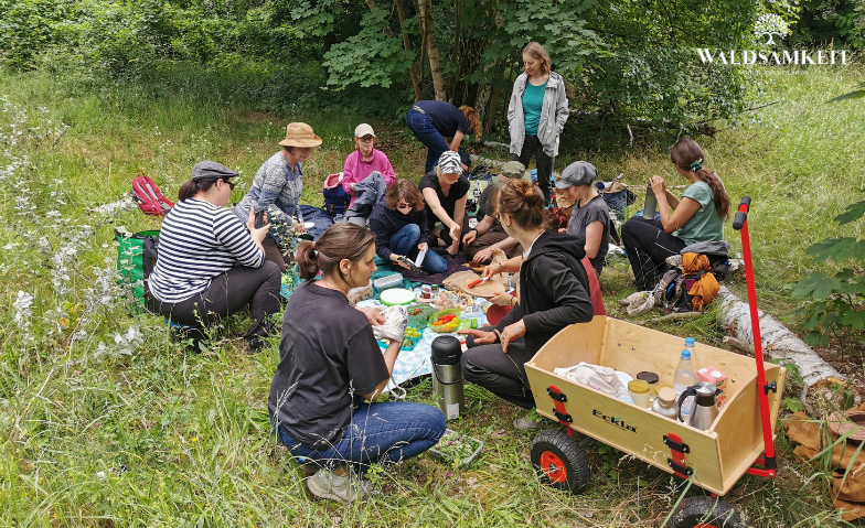 Event-Image for 'Kr&auml;uterwanderung mit Picknick'