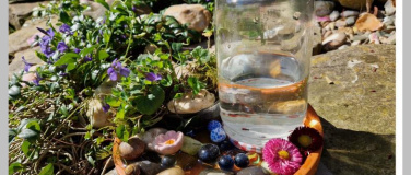 Event-Image for 'Kreativnachmittag Insektentr&auml;nke bauen'