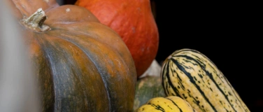 Event-Image for 'Herbstmarkt'