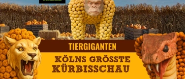 Event-Image for 'KÖLNs größte Kürbisschau auf dem Krewelshof Lohmar'