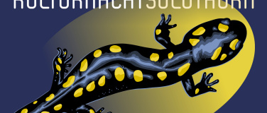 Event-Image for '10. Kulturnacht Solothurn - die Jubil&auml;umsausgabe'