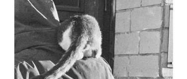 Event-Image for 'Kunstschaffen Glarus (A-L)'