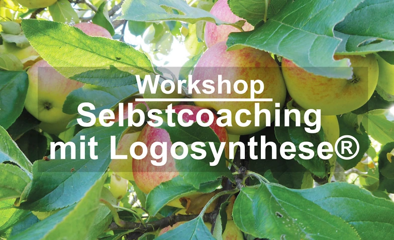 Workshop Selbstcoaching mit Logosynthese Tickets