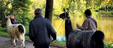 Event-Image for 'Lamawanderung intensiv'