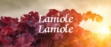 Event-Image for 'Weingut Lamole di Lamole'