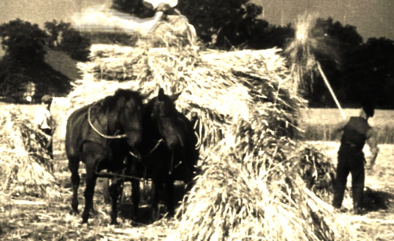 Landleben in den 50ern im Film: "Milchkannen und Weckgläser" KulturEiche e.V., Mühlenstraße 1, 24229 Dänischenhagen Billets