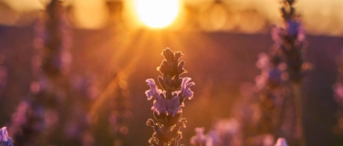 Event-Image for 'Infoveranstaltung Rund um den Beckenboden (kostenlos)'