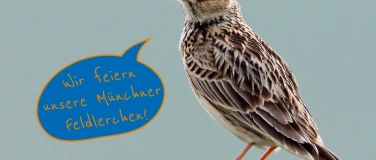 Event-Image for 'Wer jubiliert so hoch da droben? Wir feiern unsere Lerchen'