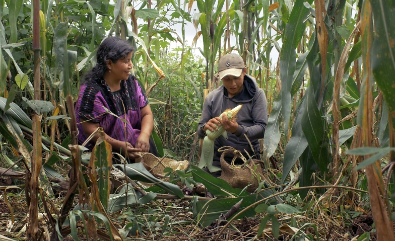 Greenmotions Filmfestival: Li Cham (I Died) (OmeU) Tickets