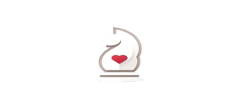 Veranstalter:in von Chess for Charity