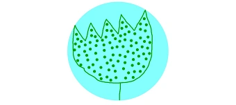 Organisateur de Donia Jornod: information was lost