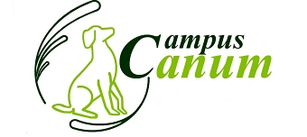 Veranstalter:in von Jos&eacute; Arce Durch Struktur, Vertrauen,Klarheit und Sicherheit