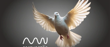 Event-Image for 'Music for the Living - Gedenkkonzert 80 Jahre Kriegsende'
