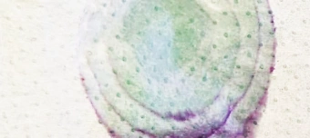 Veranstalter:in von SERVIER SERVES BRAUEREI OERLIKON