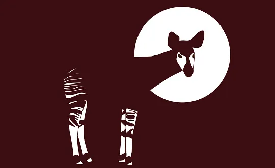 Sponsoring-Logo von Okapi Openair 2026 - Freitag Event
