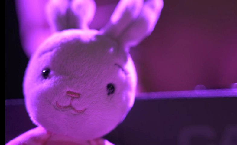 Event-Image for 'Lucy und der Angsthase'