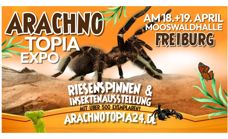 Event-Image for 'Arachnotopia - Riesenspinnen & Insektenausstellung Freiburg'