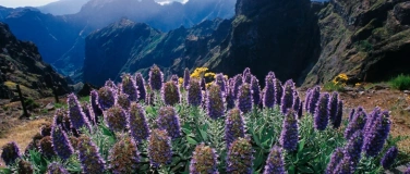 Event-Image for 'Multivisionsshow: Madeira - Insel des ewigen Frühlings'