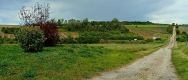 Event-Image for 'Kräuterwanderung'