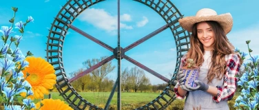 Event-Image for 'Maibl&uuml;te'