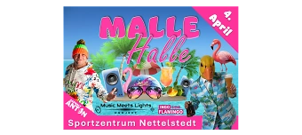 Event organiser of Malle-Halle