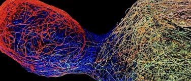 Event-Image for 'Kunst oder KI: Wer ist der Künstler?'