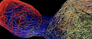 Event-Image for 'Kunst oder KI: Wer ist der Künstler?'