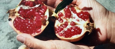 Event-Image for 'Sag mir, was hast du vor mit deinem wilden, kostbaren Leben'