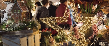 Event-Image for 'Winterträume in der Messe Magdeburg 31.10. bis 2.11.2025'