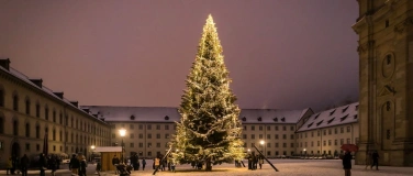 Event-Image for 'Feierliche Vernissage Weihnachtsbaum auf dem Klosterplatz'