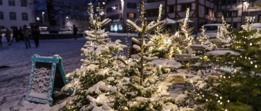 Event-Image for 'Sternenmarkt St.Gallen'