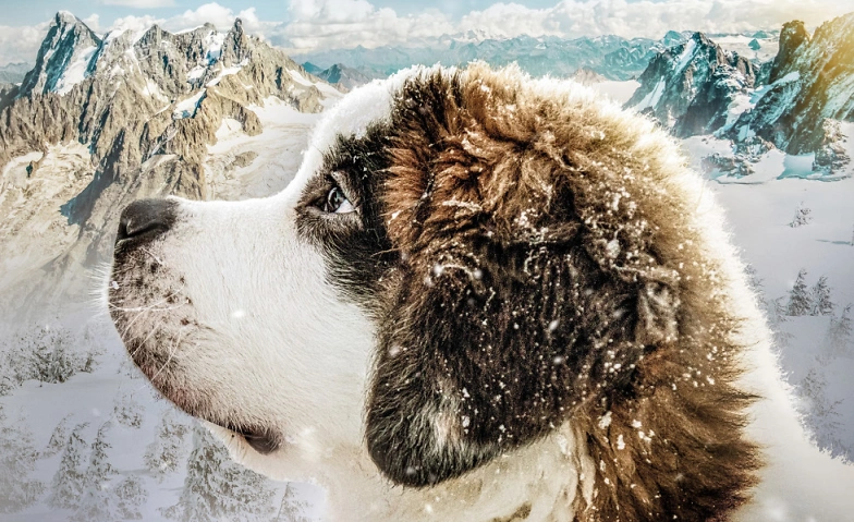 MEIN FREUND BARRY Tickets