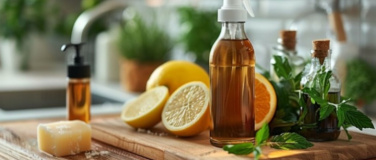 Event-Image for 'Mein Weg zum nachhaltigen Haushalt'