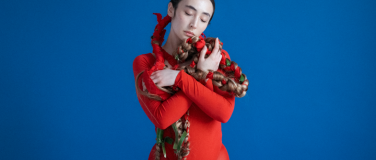 Event-Image for 'Ann Liu Cannon (UK) - Live im Blauen Saal (Rathaus I)'