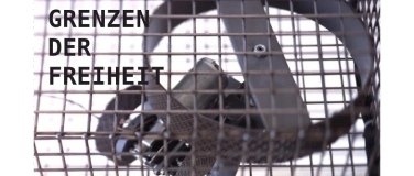 Event-Image for 'Grenzen der Freiheit - Finissage der Kunstausstellung'