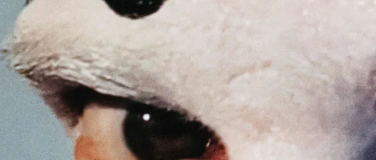 Event-Image for 'MEPHISTO. UNDER PRESSURE.'
