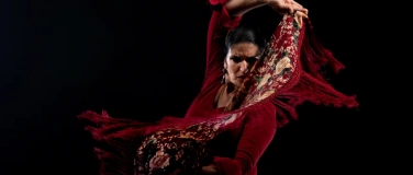Event-Image for 'FLAMENCO JOSÉ SATORRE - EL PURO ARTE FLAMENCO'